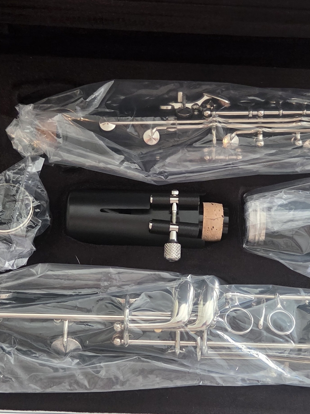 Brand New Eastman Clarinet with Case and Accessories NWT